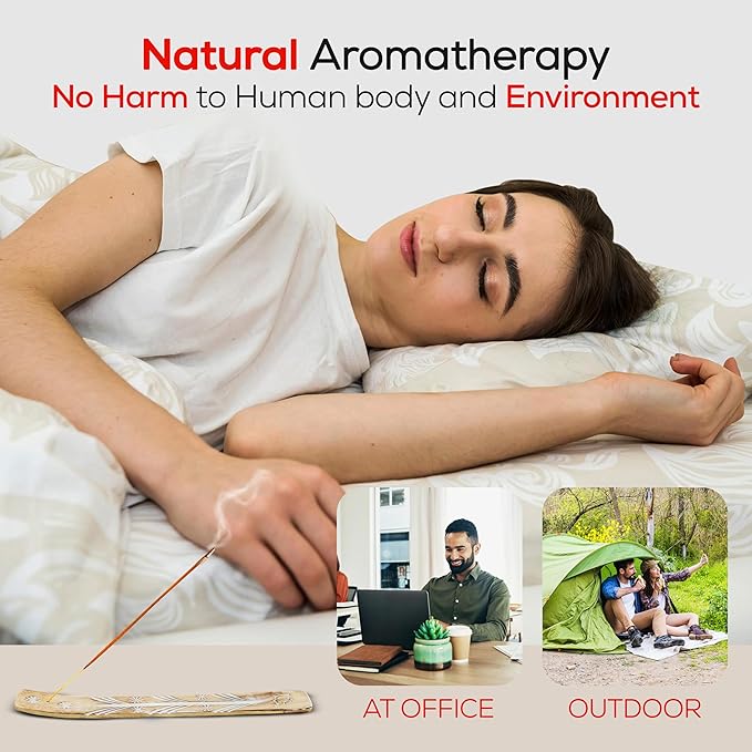 Satya Dragon Blood Incense Sticks 180 gm (15GM X 12 Pack) from Satya Sai Baba Nag Champa and Raajsee Incense Sticks Holder Bundle, Free from Chemicals,Natural Insenses