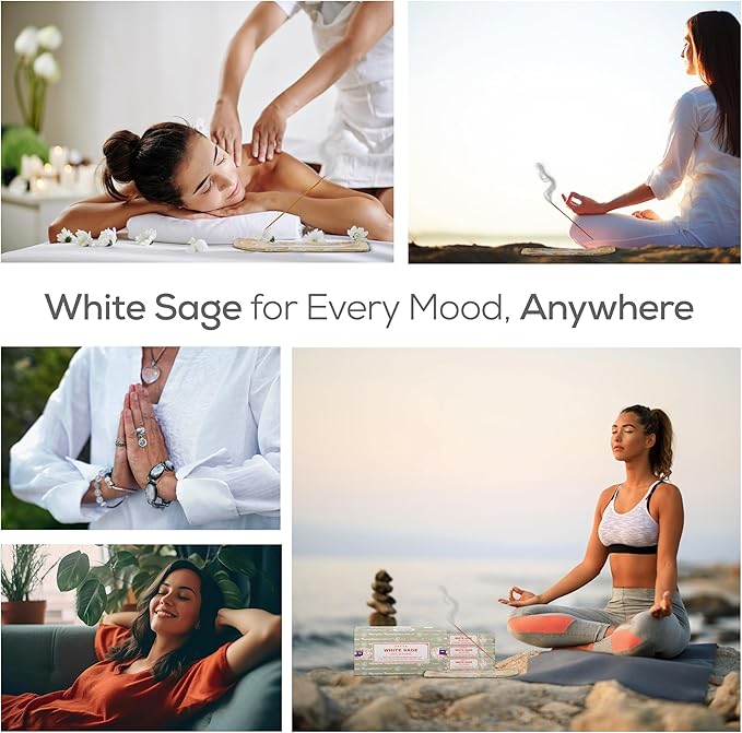 Satya Nag Champa White Sage Incense Sticks, SatyaBng (Bangalore) Insenses 15gmx12 Pack with Raajsee Insence Holder Bundle, Nag Champa Natural Incense