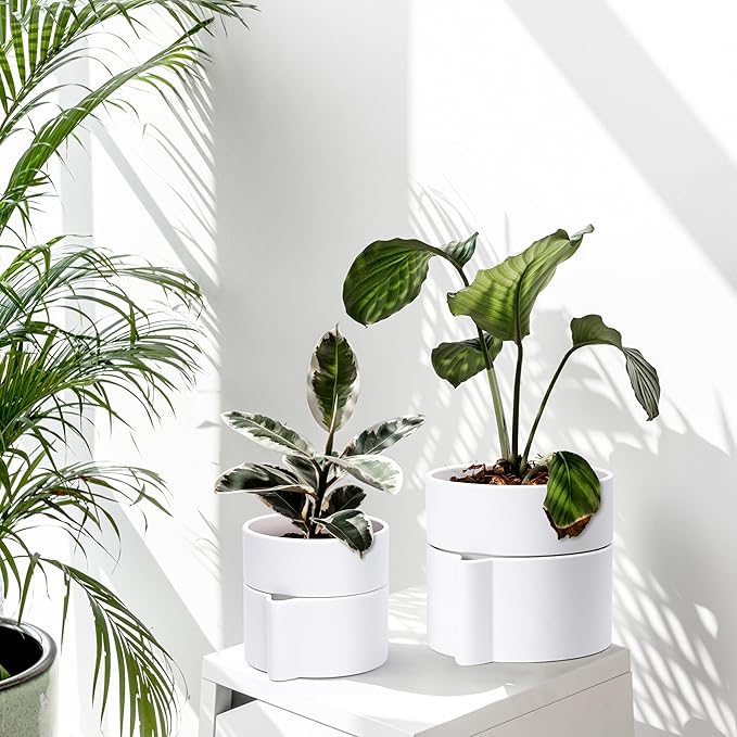 Phoenix Vine 8 Inch Self-Watering Planter Pot with Terracotta Insert, Deep Water Reservoir, and Ceramic-Alike BPA-Free Plastic Planter Pot for Plant, Modern Planter for Houseplants, White, 53-A-T-1