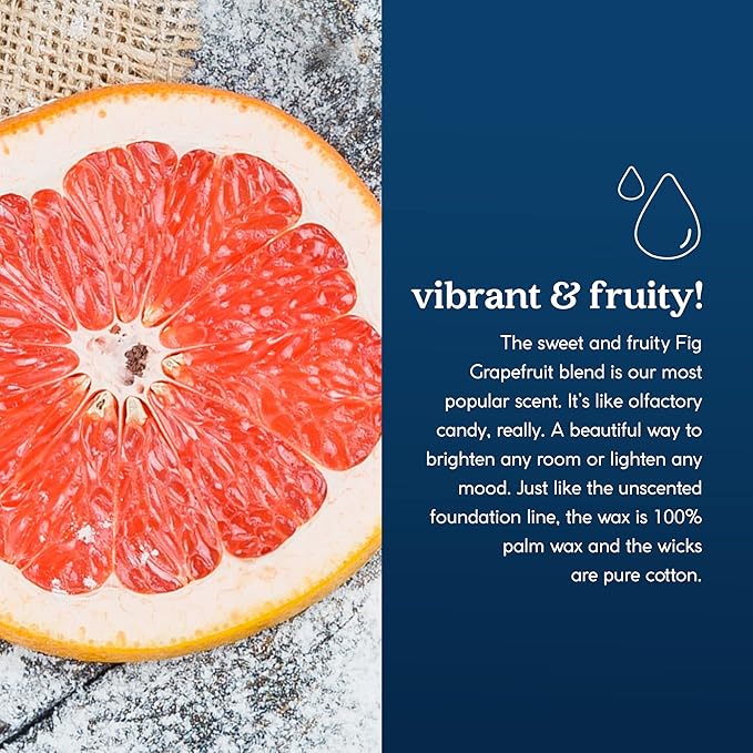 GoodLight Paraffin-Free Scented Candle, Tin Candles, Birthday Gifts for Women & Men, 30-Hour Burn Time (Fig Grapefruit, 6 oz)