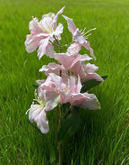 10-Bud Artificial Lily Flowers, 4 Pcs Fake Outdoor Flowers, UV Resistant Faux Flowers for Outdoor Planters, Silk Flowers for Wedding Decoration (Pink)