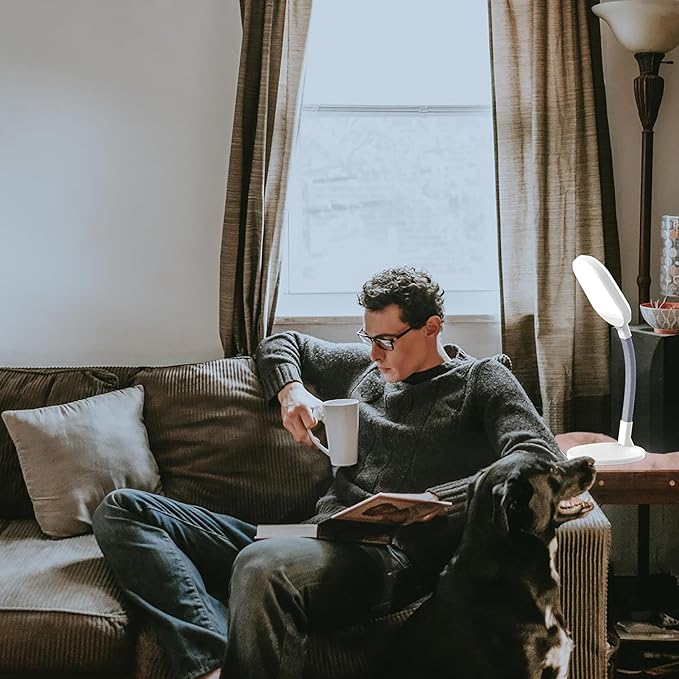 LED Desk Lamp - Sunlight Lamp with Adjustable Gooseneck Arm - Home and Office Desk Lamps Great for Reading and Crafting by Lavish Home (White)