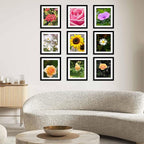 12 Packs 10x12 Picture Frames, Display 8x10 with Mat or 10x12 Without Mat, Gallery Wall Frame Set, 10 by 12 Frames Bulk Set of 12 Collage Wall Decor Photo Frames Set for Wall and Tabletop, Black