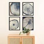 SIGNWIN Framed Blue & White Overexposed Wood Tree Ring Wall Art, Set of 4 Nature Wildernes Wall Decor Prints, Minimalism Wall Décor for Living Room, Bedroom - 12"x16" Black