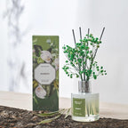 Airkeep Reed Diffuser Set - 3.38 fl oz(100ml) Bamboo Scent Diffuser Home Fragrance Diffuser Set Includes 8 Reed Diffuser Sticks,Home Decor & Office Decor, Fragrance and Gifts