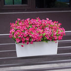 Rose Red Artificial Outdoor Flowers 12 Bundles Silk Fake Daisy Romantic Fake Plants Stems for Garden, Pergola, or Outdoor Party Decor Outside (Rose red Daisy)