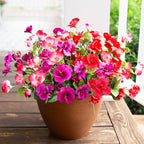 Hibiscus Artificial Flowers Plants for Outdoors Decoration, 6 Bundles Silk Hibiscus Bouquet Tropical Flowers Artificial Realistic UV Resistant Fake Flowers for Outside Planter Porch Patio Balcony, Mix