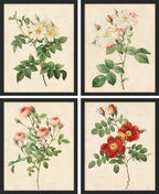 SIGNWIN Framed Vintage Colorful Wildflower Wall Art, Set of 4 Variety Floral Wall Decor Prints, Nature Wilderness Wall Décor for Living Room, Bedroom - 11"x14" Black