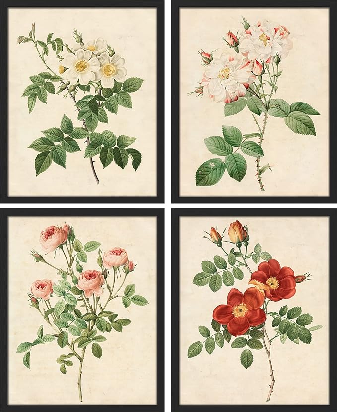 SIGNWIN Framed Vintage Colorful Wildflower Wall Art, Set of 4 Variety Floral Wall Decor Prints, Nature Wilderness Wall Décor for Living Room, Bedroom - 11"x14" Black