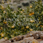 Antica Farmacista Room Spray - Lemon, Verbena and Cedar, 3.4 Fl Oz (Pack of 1)