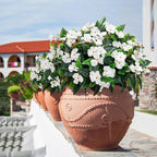 Uqueeten15.7” Fall Decorations for Home Fake Fall Flowers Fake Plants Artificial Impatiens Bouquet Flowers for Outdoors Silk Faux Flowers Impatiens Plants Decor Indoor Planters 8PCS (White) 8pcs