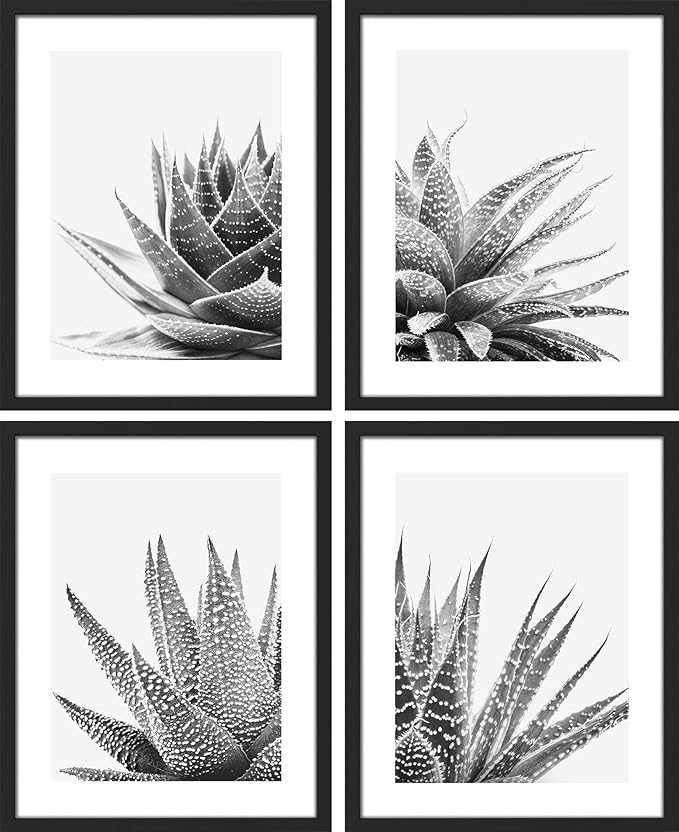 SIGNWIN Framed Black White Snake Plant Agave Cactus Succulent Wall Art, Set of 4 Floral Botanical Wall Decor Prints, Nature Wilderness Wall Décor for Living Room, Bedroom - 12"x16" Black