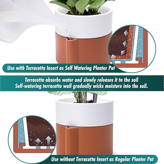 8 Inch Self-Watering Planter Pot with Terracotta Insert, Deep Water Reservoir, and Ceramic-Alike BPA-Free Plastic Planter Pot for Plant, Modern Planter for Houseplants, Terracotta/White, 53-B-T-6