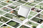 Y2K BOO Sage Green Aesthetic Wall Collage Kit – 50 Soft & Serene Photos, 4"x6" Semi-Gloss Prints for Teen Girls Dorm Room Decor, Calm Sage Green Moments, Ideal Gift for Birthday & Graduation