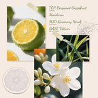 Reed Diffuser, 6.09 oz OrangeGrove Scent Diffuser with Sticks & Dried Flowers, 120 Days Long Lasting Reed diffusers for Home, Elegant Fragrance for Bathroom Bedroom Office Decor, Air Fresh