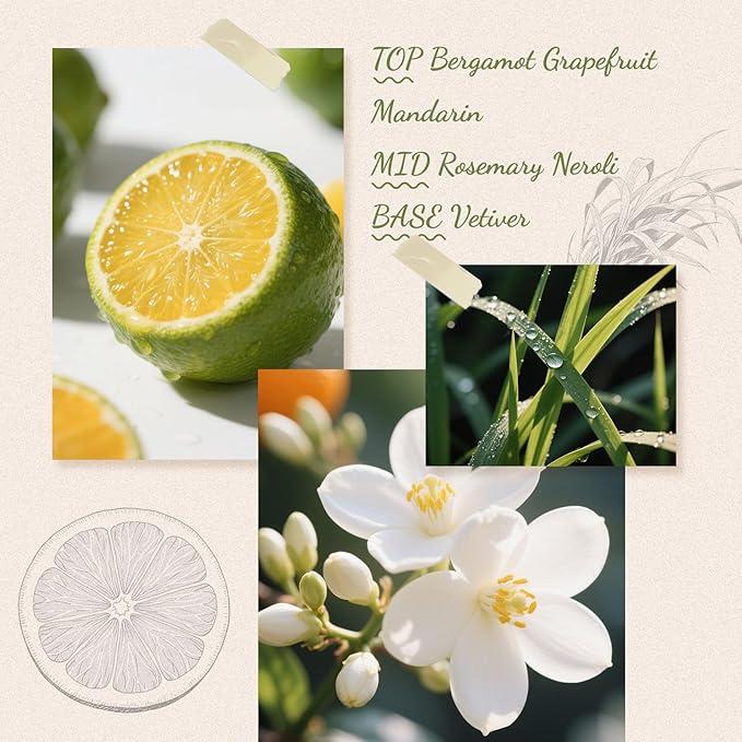 Reed Diffuser, 6.09 oz OrangeGrove Scent Diffuser with Sticks & Dried Flowers, 120 Days Long Lasting Reed diffusers for Home, Elegant Fragrance for Bathroom Bedroom Office Decor, Air Fresh