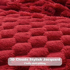 NEWCOSPLAY Super Soft King Blanket Red Premium Silky Flannel Fleece 3D Clouds Stylish Jacquard Lightweight Bed Blanket All Season Use 350GSM (Red, King(90"x110"))