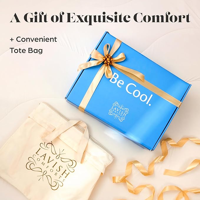 Lavish Comforts® Best Cooling Blanket│White Cooling Comforter Queen Size for Hot Sleepers│Cold Ice Blanket Cooling Blanket for Cooling Bed Cooling │White Comforter Queen 90" x 90"