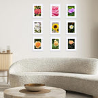 12 Packs 5x7 Picture Frames Bulk, Display 4x6 with Mat or 5x7 Without Mat, White Gallery Frame Set, 5 by 7 Frames Bulk Set of 12, Collage Wall Decor Photo Frame Set for Wall and Tabletop, White