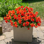 Ivydale Artificial Faux Fall Flowers Plants for Outdoor Outside, Fake Silk Orange Camellia UV Resistant Look Real for Autumn Planter Porch Patio Balcony Garden Yard Decoration, 3 Large Bundles