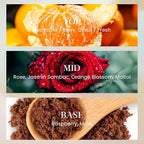 M&SENSE 10.14 oz Large Reed Diffuser Set | Red Camelia Scent Home Oil Diffuser with Sticks |Hotel Collection Non-Toxic Essential Oil |for Bedroom Bathroom Living Room