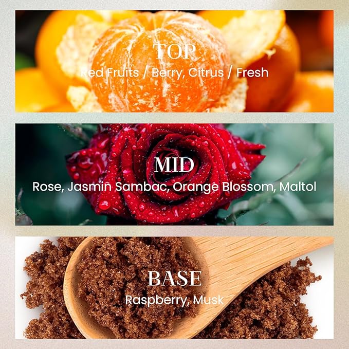 M&SENSE 6.3 oz Large Reed Diffuser Set | Red Camelia Scent Home Oil Diffuser with Sticks | Hotel Collection Non-Toxic Essential Oil |for Bedroom Bathroom Living Room