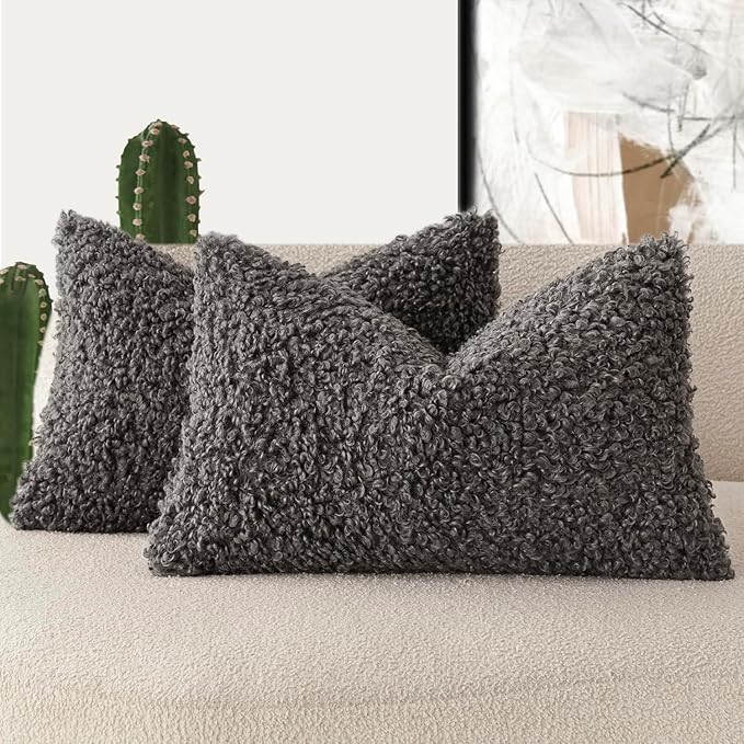 Foindtower Set of 2 Curly Teddy Wool Pillow Covers Decorative Boucle Textured Lumbar Throw Pillow Faux Fur Sherpa Pillowcases Sheepskin Fuzzy Cushion Case for Sofa Bedroom Car 12"x20" Dark Gray