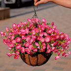 Artificial Flowers Fake Plants for Outdoor Indoor Decoration,16 Bundles UV Resistant Faux Plastic Flowers,Realistic Pink Morning Glory for Planter Porch Patio Home Table Wedding (Pink)