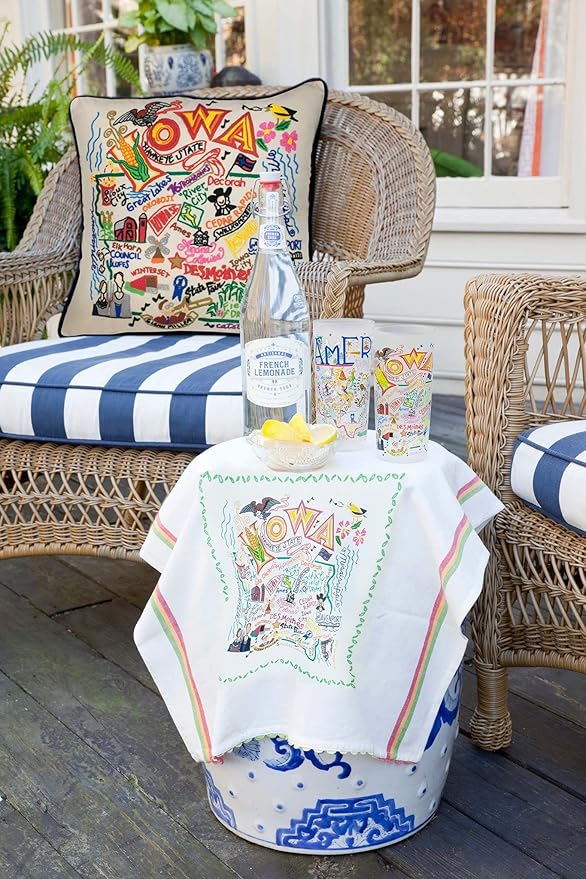 Catstudio Iowa Embroidered Decorative Throw Pillow