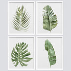 SIGNWIN Framed Banana Palm Monstera Leaf Wall Art, Set of 4 Green Pastel Wall Decor Prints, Nature Wilderness Wall Décor for Living Room, Bedroom - 8"x10" White