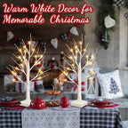 PABIPABI Christmas Decorations 2 Pack Lighted Birch Tree, Artificial Tree with 24 LED Warm White Lights Battery Powered Timer Room Decor, Tabletop Ceterpieces Trees for Home Party Wedding Decor (2FT)