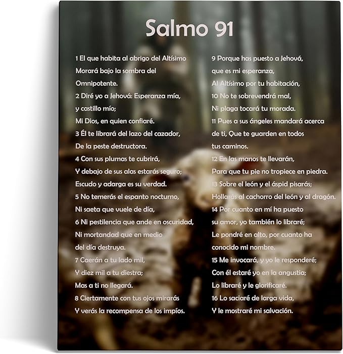 ART Salmo 91 En Español Para Pared Cuadros Cristianos Para Pared En Español, Psalm 91 Wall Art, Christian Wall Decor In Spanish, Decoraciones Para Cuartos Psalm 91 Wall Decor Framed Wall Décor