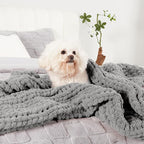 Amélie Home Chunky Knit Throw Blanket for Couch, Soft Chenille Crochet Blanket for Sofa, 50"x60", Light Grey