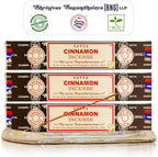 Satya Cinnamon Incense Sticks, Satya Bng (Bangalore) Insenses 15gmx3 Pack with Raajsee Incense Holder Bundle, Satya Nagchampa Natural Incense