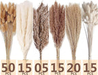 Dried Pampas Grass Decor, 120 PCS Pampas Grass with Bunny Tails Dried Flowers, Reed Grass Bouquet for Wedding, Boho Flowers, Home Table Decor, Rustic Farmhouse Party (White and Brown)
