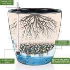 Dexceder 13x12 Self Watering Planter with Wheels Indoor Outdoor, Inner Pot Design, Thickened Large Floor Standing Flower Plant Pot with Water Level Indicator (Slate Gray Matte)