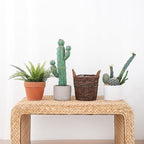 Handwoven Wicker Planter Basket with Waterproof Liner – Natural Yellow Decorative Flower Pot Holder for Indoor Use - Small Size (Inner Top Ø 7", Inner Height 5.9")