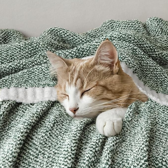 MIULEE Green Super Soft Throw Blanket for Couch, Cozy Fluffy Warm Throws Knit Blankets for Sofa, Bed, Chair, Living Room, Camping, Picnic, 50 x 70 inch