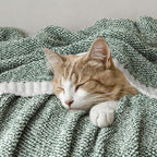 MIULEE Green Super Soft Throw Blanket for Couch, Cozy Fluffy Warm Throws Knit Blankets for Sofa, Bed, Chair, Living Room, Camping, Picnic, 50 x 70 inch