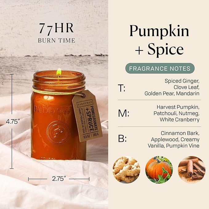 Paddywax Scented Candles Relish Collection Soy Wax Artisan Candle in Glass Jar with Lid, 9.5-Ounce, Pumpkin + Spice