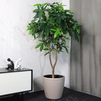 Dexceder 15x14 Self Watering Planter with Wheels Indoor Outdoor, Inner Pot Design, Thickened Large Floor Standing Flower Plant Pot with Water Level Indicator (Taupe Matte)