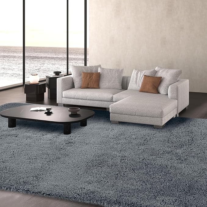 Living Room Area Rug 10x12: Shag Rug 10 X 12 Grey Large Plush Fluffy Soft Rug for Living Room Bedroom - Modern Indoor Shaggy Fuzzy Floor Carpet