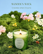 M&SENSE Sage Citrus Scented Candle, Cracking Wooden Wick Soy Wax, 18oz 100 Hours Long Lasting Clean Burn, Large Jar Candles for Home Decor, Non-Toxic Relaxing Aromatherapy Gifts for Women