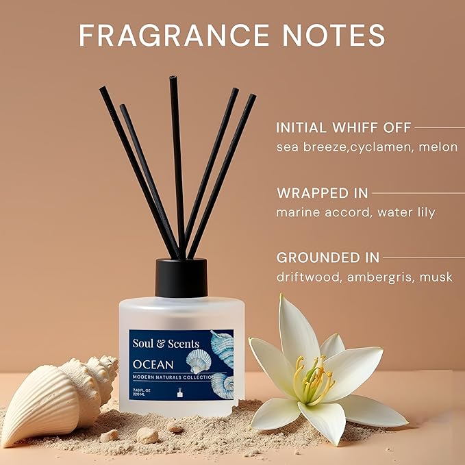Soul & Scents Reed Diffuser Set – Ocean | 7.43 oz Refillable Scented Oil with 6 Fiber Sticks | Long-Lasting Home Fragrance & Air Freshener for Bedroom, Bathroom, Office | Gift & Décor Piece