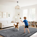 Fluffy Rug Shaggy Area Rug, Dark Grey 5x8 Area Rugs for Bedroom, Small Bedside Rug, Soft Fluffy Shaggy Entryway Throw Rugs for Living Room Bedroom Kids Room Home Decor