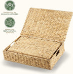 Set of 2 Wicker Baskets with Lid for Organizing - Decorative Storage Boxes With Lids for Home Decor, Shelves - Organic Modern Home Decor - Remote Box - Coffee Table Basket