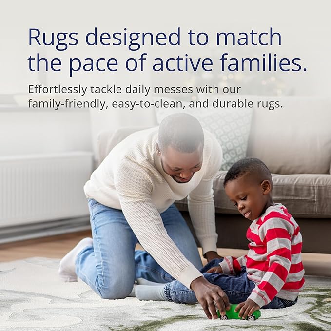 Abani Abstract Grey Green Washable Area Rug – 8' x 10' – Modern Stone-Inspired Design – Regal Collection – Easy to Clean – Durable for High Traffic Areas – Living Room, Bedroom & Office