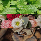 M&SENSE Natural Soy Candle| City Oasis | 5.3 oz | Minimalist Scented Candle for Relaxation, Gifting, Home Décor | for Bedroom, Office, Party Small