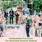 1500Pcs Real Pink Hydrangea Flower Petals for - 1.06 oz Natural Dried Pink Petals for Romantic Night, Her Set, Proposal Decor