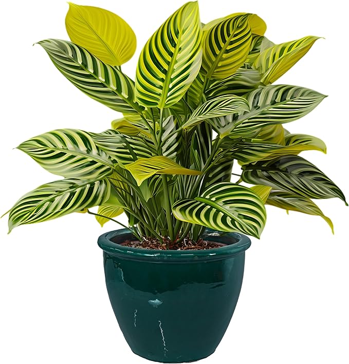 Sunnydaze Chalet Large Ceramic Plant Pot - Round Outdoor Glazed Ceramic Planter Pot with Drainage - Dark Green - 14.5"